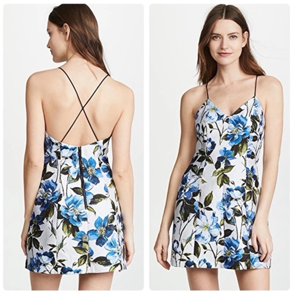 Alice + Olivia white and blue flower dress